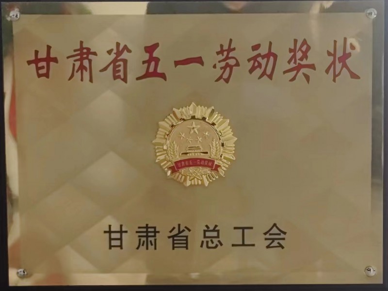 烏魯木齊機(jī)場改擴(kuò)建工程飛行區(qū)場道工程 01 標(biāo)段及圍界附屬工程標(biāo)段順利通過行業(yè)驗(yàn)收