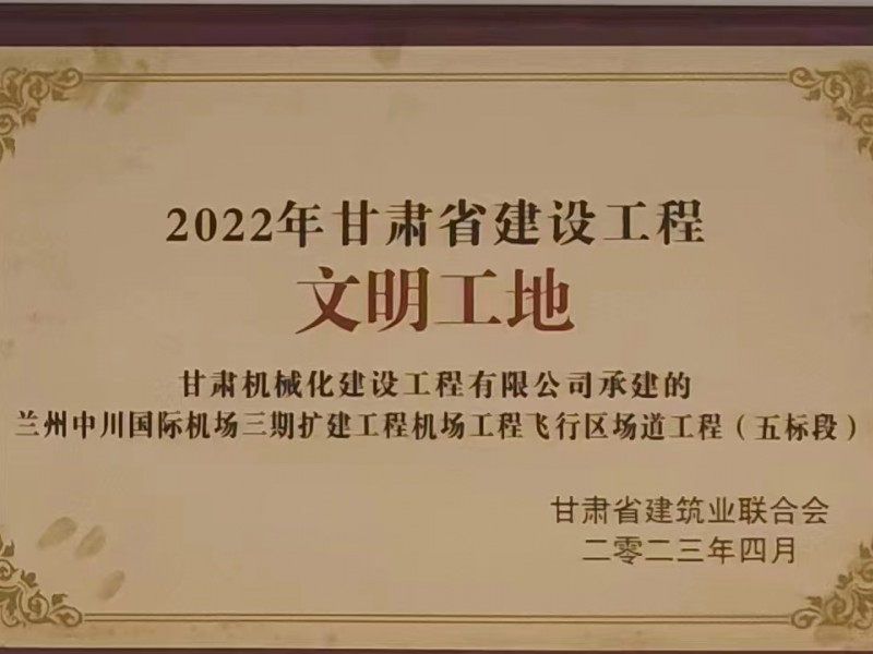 烏魯木齊機(jī)場改擴(kuò)建工程飛行區(qū)場道工程 01 標(biāo)段及圍界附屬工程標(biāo)段順利通過行業(yè)驗(yàn)收