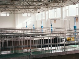 烏魯木齊機(jī)場改擴(kuò)建工程飛行區(qū)場道工程 01 標(biāo)段及圍界附屬工程標(biāo)段順利通過行業(yè)驗(yàn)收