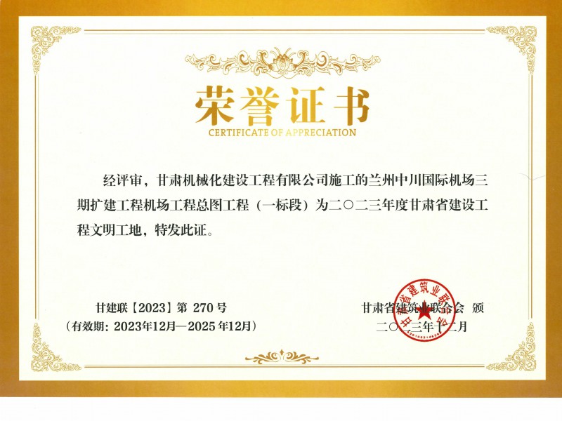 烏魯木齊機(jī)場改擴(kuò)建工程飛行區(qū)場道工程 01 標(biāo)段及圍界附屬工程標(biāo)段順利通過行業(yè)驗(yàn)收